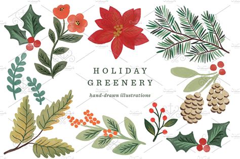 Holiday Greenery Illustrations ~ Illustrations ~ Creative ...