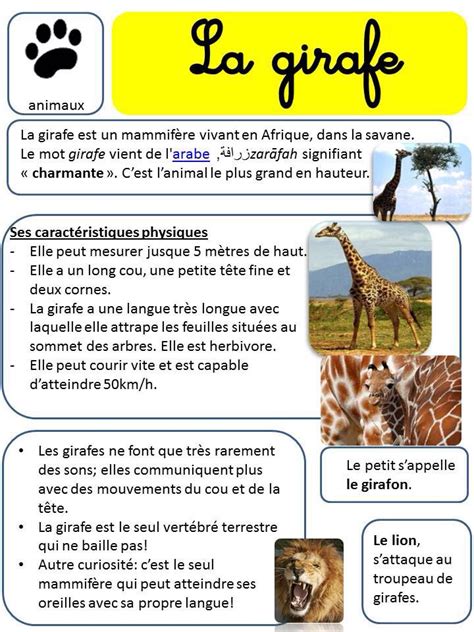 La Girafe Carte Didentité French Flashcards French Worksheets How To