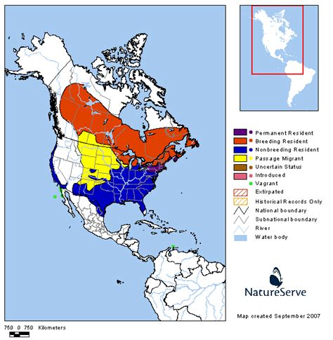 Mole Food Chain Black Widow Spider Range Map Getting Rid Of Ants