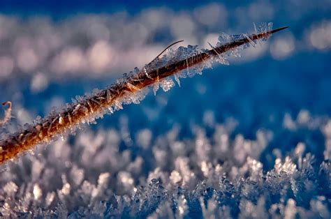 Winter Photography Ideas For Nature Photographers Apogee