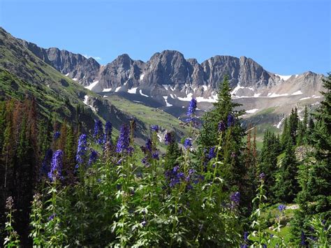 Part of the gunnison national forest, american basin is a high alpine basin at an elevation of 12,365 feet surrounded by vertical cliffs. American Basin, Colorado Photograph by Carol Milisen