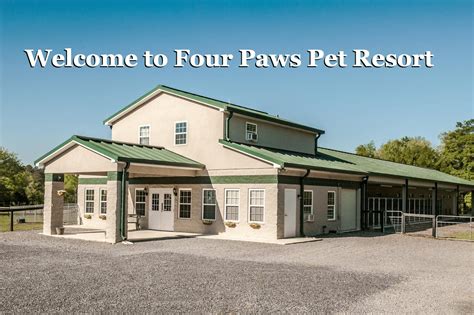 Providing expert pet services to mesa and the surrounding communities. Home - Four Paws Pet Resort