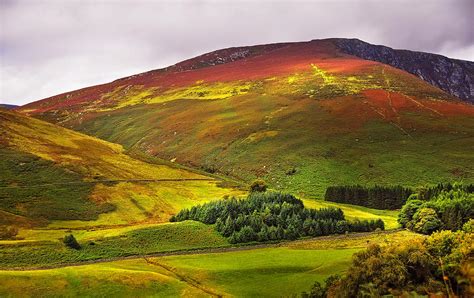 Colorful Wicklow Hills At Fall Ireland Photograph By Jenny Rainbow