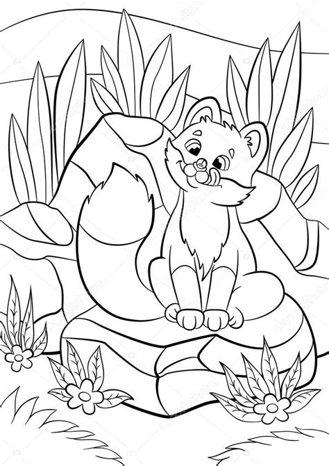 Coloring Pages Wild Animals Little Cute Baby Fox Looks At The Fly In