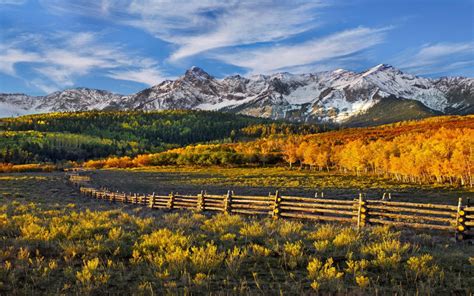 Beautiful Hd Wallpaper Fall Mountains With Snow Forest With Yellow