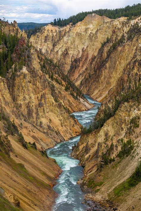 Yellowstone River Yellowstone National Park Wyoming Oc 4480x6720