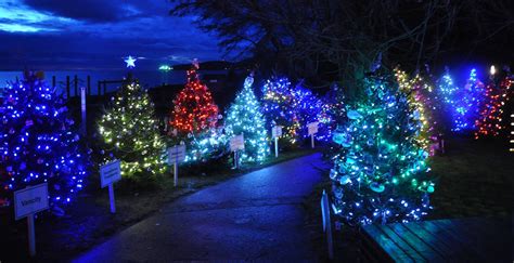32 Festive Places To See Christmas Lights In Metro Vancouver Daily