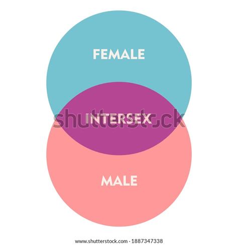 transgender transsexual concept unconventional sexual orientation stock illustration 1887347338