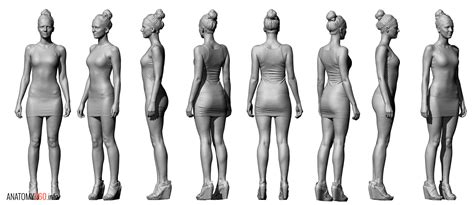 Female Body Reference Anatomy
