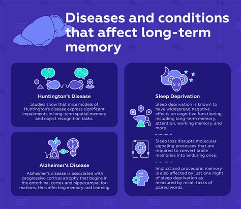 long term memory maze engineers