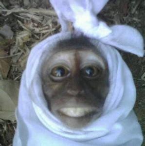 Gambar Hantu Lucu - Radea