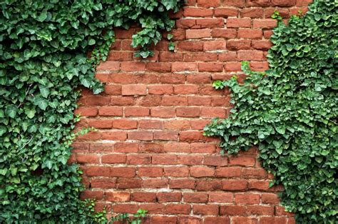 How To Decorate A Brick Wall Outside