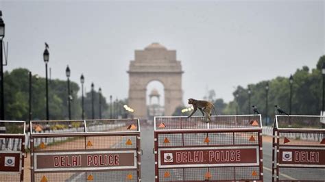 Lockdown 20 Faqs On What Will Remain Shut What May Open In Delhi