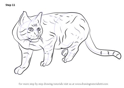How to draw a cat. Learn How to Draw a Wildcat (Cats) Step by Step : Drawing ...