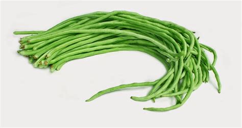 String Bean Clip Art Images 10 Free Cliparts Download Images On