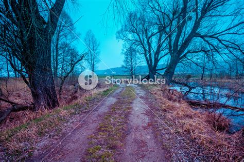 Wild Nature Autumn Rural Landscape Trees Without Leaves Near The Calm