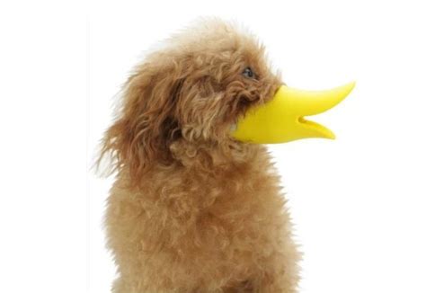 Duckbill Dog Muzzle Dog Muzzle Dogs And Puppies Pet Puppy