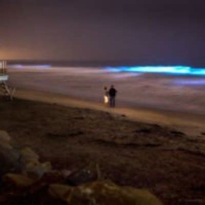 Fenomena Langka Yang Luar Biasa Pantai Di As Ini Menyala Biru Terang Di
