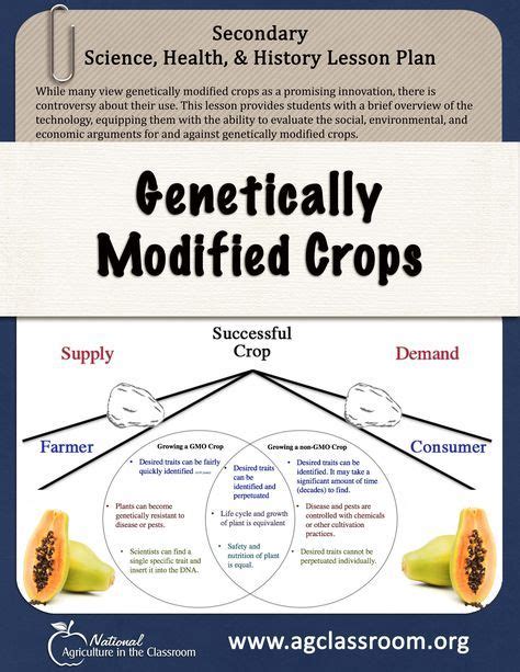 Gmos Are An Important Topic In Food Consumption And Agriculture Today