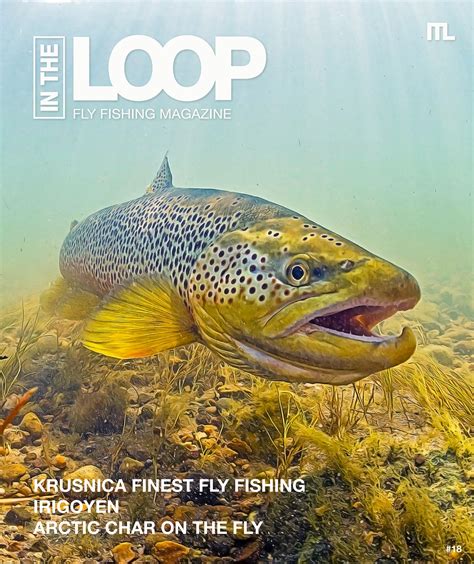 In The Loop Fly Fishing Magazine Issue 18 By In The Loop Fly Fishing