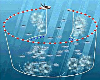 Pt arditya konsultan indonesia sedang membutuhkan senior architect tanggung jawab pekerjaan :1. lowongan kapal ikan purse seiner - INFO LOWONGAN KERJA ...