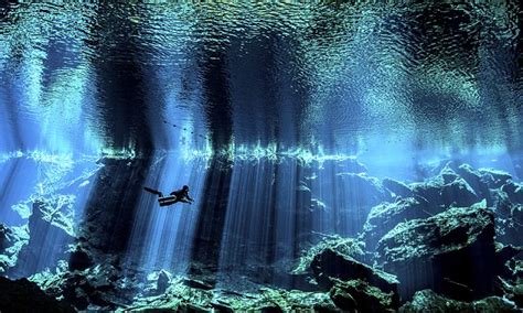 Mesmerising Winners Of The Underwater Photography Awards Daily Mail