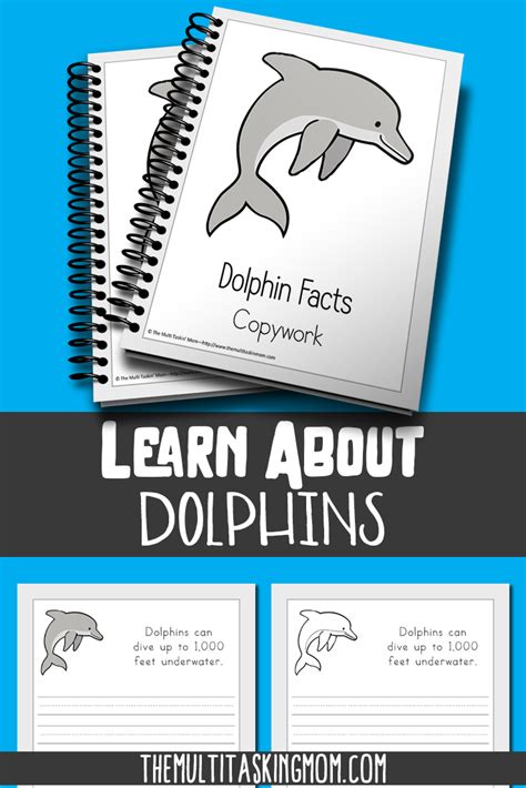 Dolphin Facts Color And Copywork The Successful Homeschool