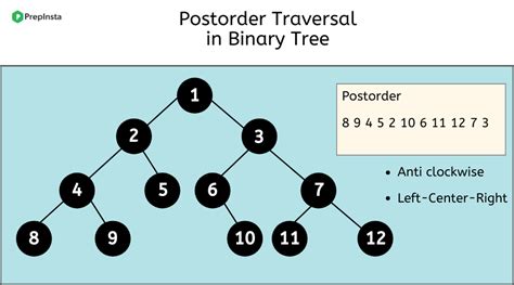 Postorder Tree Traversal In Binary Tree In C Prep Insta