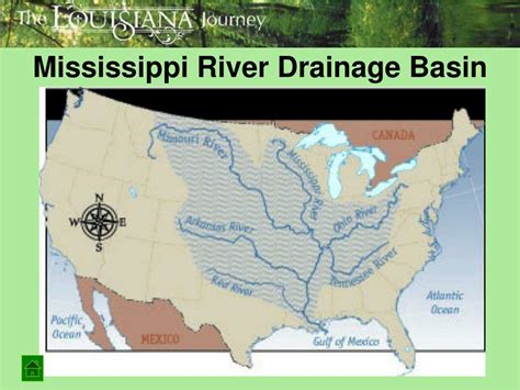 Ppt Chapter 2 Piney Hills And Coastal Marshes The Geography Of