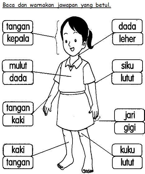 Lembaran Kerja Diri Saya Tahun Bahasa Malaysia Prasekolah Latihan