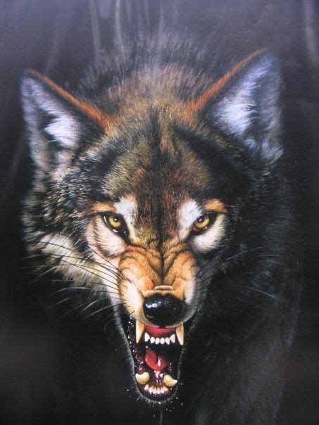 Wolf Photos Wolf Pictures Wolf Tattoos Men Angry Wolf Wolf Tattoo