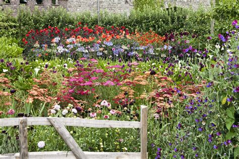 What Flowers Are Best For Creating Your Own Cutting Garden