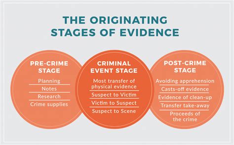 Timeline maker with intuitive drawing features to swiftly create timeline charts online. Stages of crime pdf. The 10 Stages of a Criminal Case ...