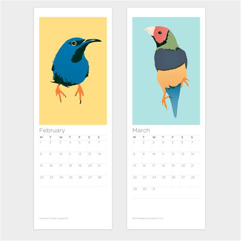 Reissue Birds Calendar 2022 Includes Free Uk Shipping Shop Jill