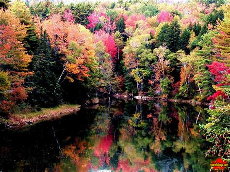 Maine Fall Foliage Wallpaper Wallpapersafari