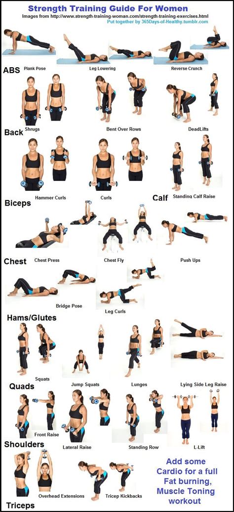 Strength Training Guide For Women Pictures Photos And