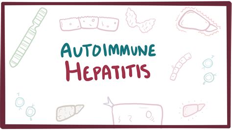 Autoimmune Hepatitis Video Anatomy And Definition Osmosis