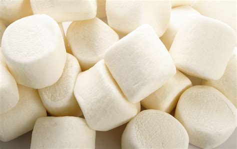 7 Things Marshmallows Teach Us About Self Control Vox