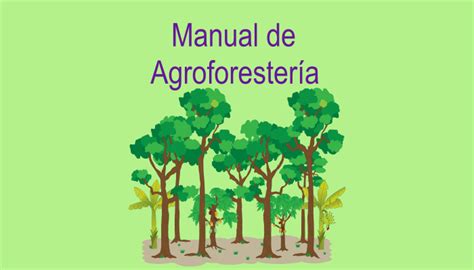 Manual De Agroforestería Gratis En Pdf Infoagronomo