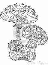 Coloring Mushroom Adults Adult Vector Zentangle Illustration Stress Anti Lines Lace Book Style Pattern sketch template