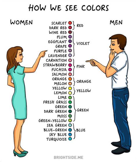 14 Illustrations That Perfectly Show The Differences Between Men And Women