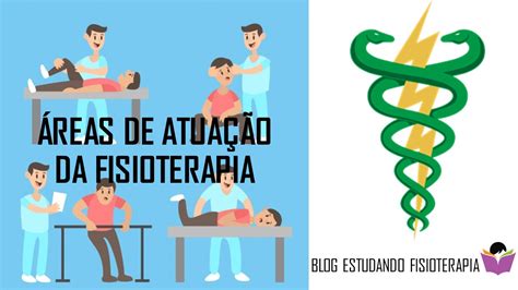 Areas De Atuação Do Fisioterapeuta