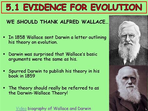 Darwin And Wallace And The Theory Of Evolution Hubpages