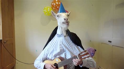 Happy Birthday From Jemima The Goat Happy Birthday Goat Funny Birthday Meme Happy Biryhday