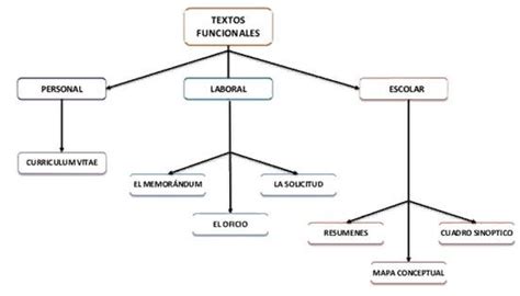 Textos Funcionales Cuadro Sinptico Hot Sex Picture