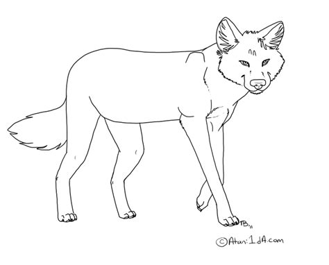Free Dhole Lineart By Atani1 On Deviantart