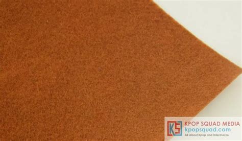 Perbedaan Warna Coklat Tua dan Coklat Muda | Kpop Squad Media | All