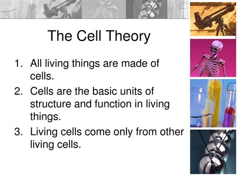 Ppt Cell Theory And The Scientists Who Helped Shape It Powerpoint