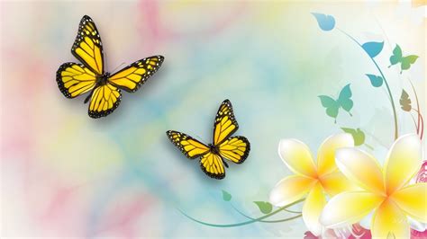 Yellow Butterflies And Beautiful Flowers Spring Season