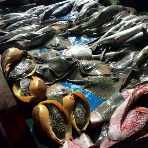 Pasar Ikan Kota Kinabalu